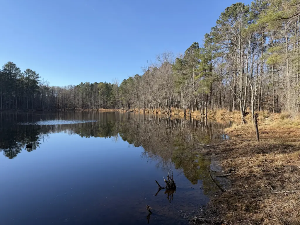 Upstream slope and normal pool at Cedar Creek Dam, right abutment.